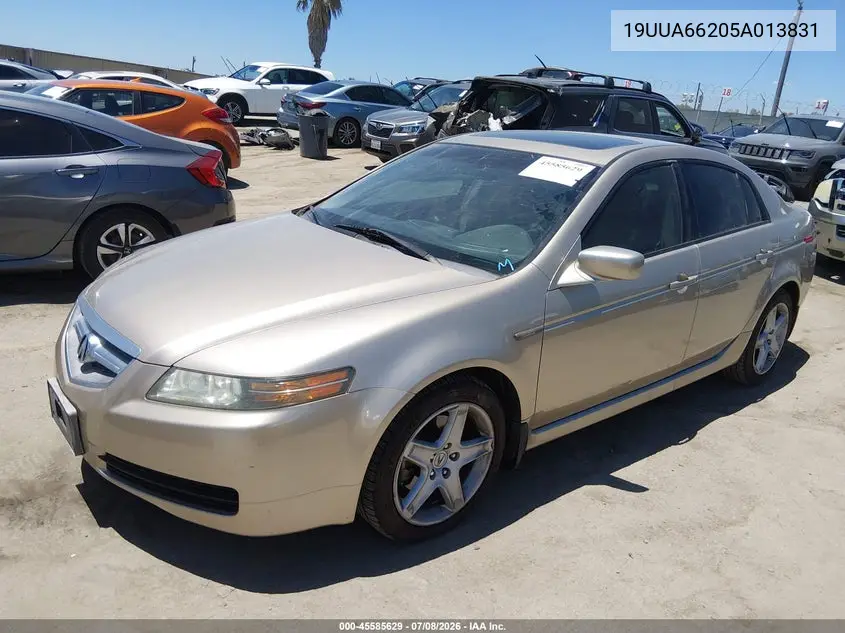 2005 Acura Tl VIN: 19UUA66205A013831 Lot: 45585629