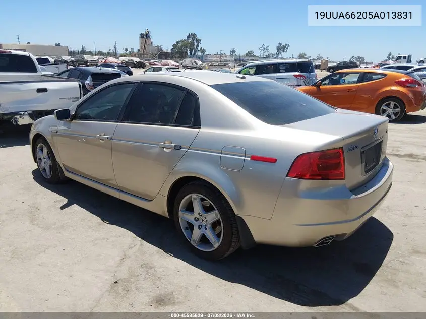 2005 Acura Tl VIN: 19UUA66205A013831 Lot: 45585629