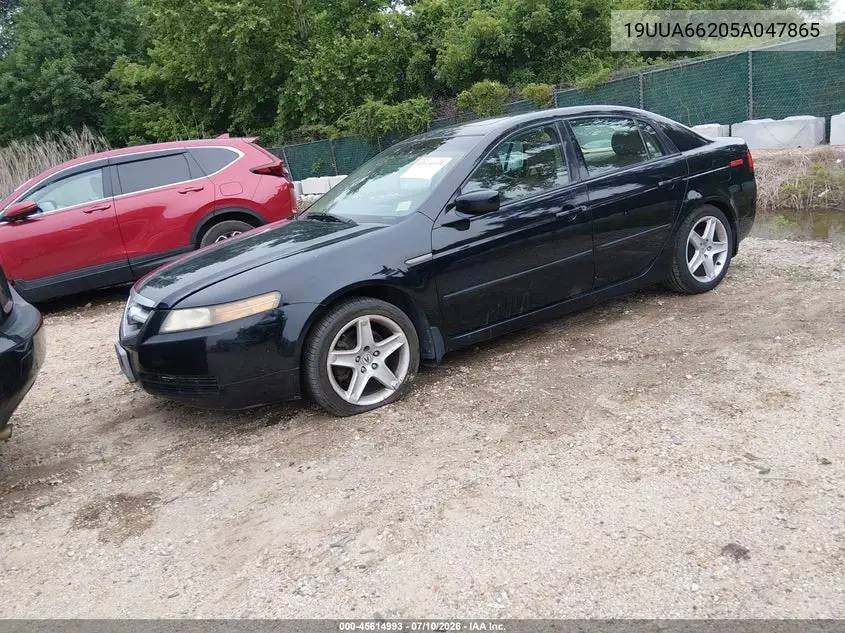 2005 Acura Tl VIN: 19UUA66205A047865 Lot: 45614993