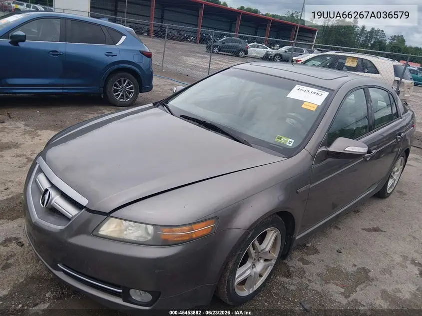2007 Acura Tl 3.2 VIN: 19UUA66267A036579 Lot: 45453882