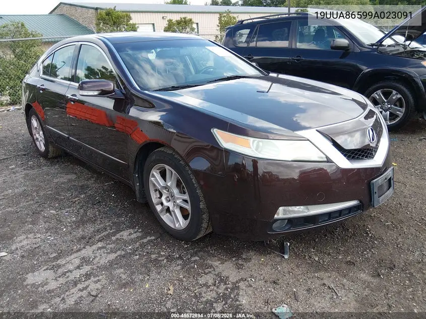 2009 Acura Tl 3.5 VIN: 19UUA86599A023091 Lot: 45572894