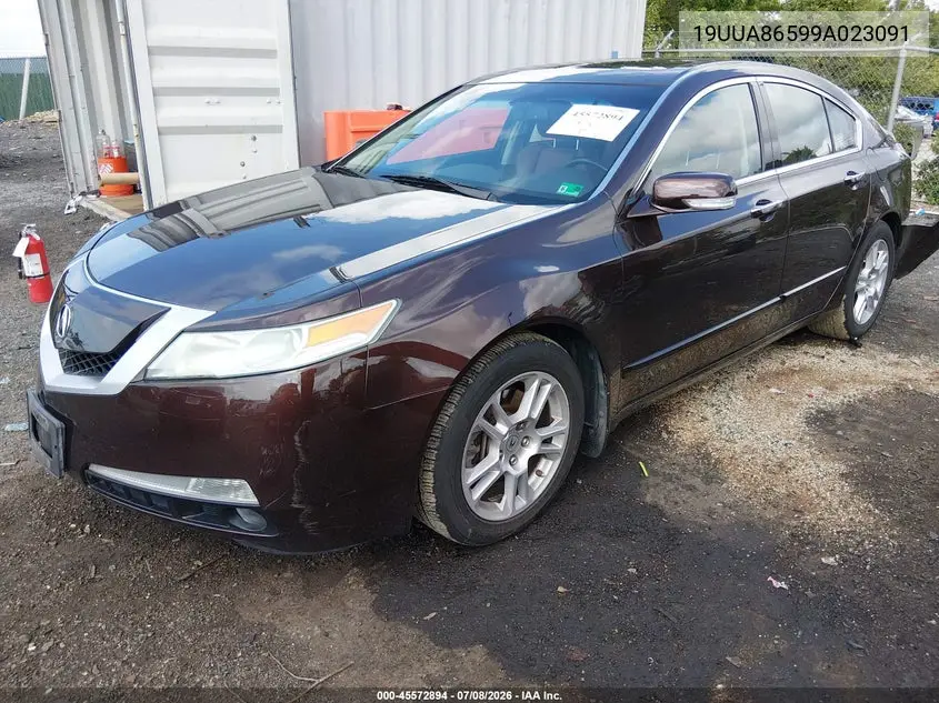 2009 Acura Tl 3.5 VIN: 19UUA86599A023091 Lot: 45572894