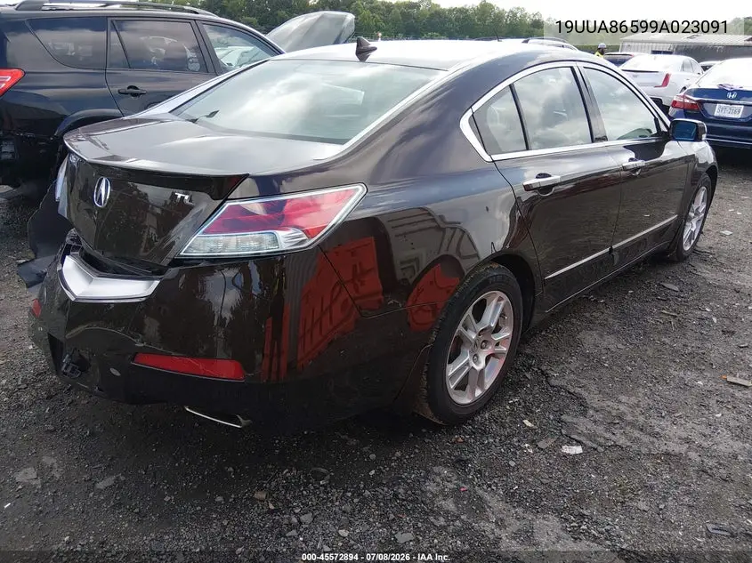 2009 Acura Tl 3.5 VIN: 19UUA86599A023091 Lot: 45572894