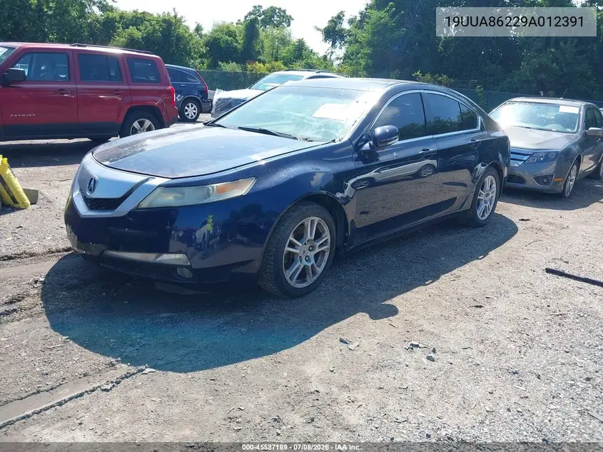 2009 Acura Tl 3.5 VIN: 19UUA86229A012391 Lot: 45587189