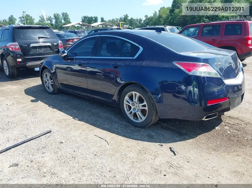 2009 Acura Tl 3.5 VIN: 19UUA86229A012391 Lot: 45587189