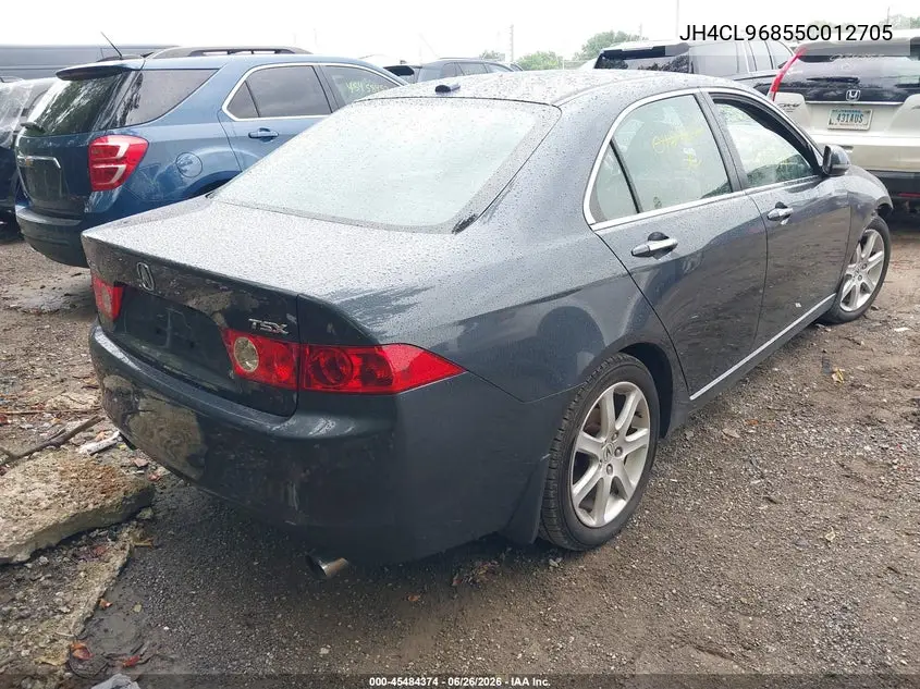 2005 Acura Tsx VIN: JH4CL96855C012705 Lot: 45484374