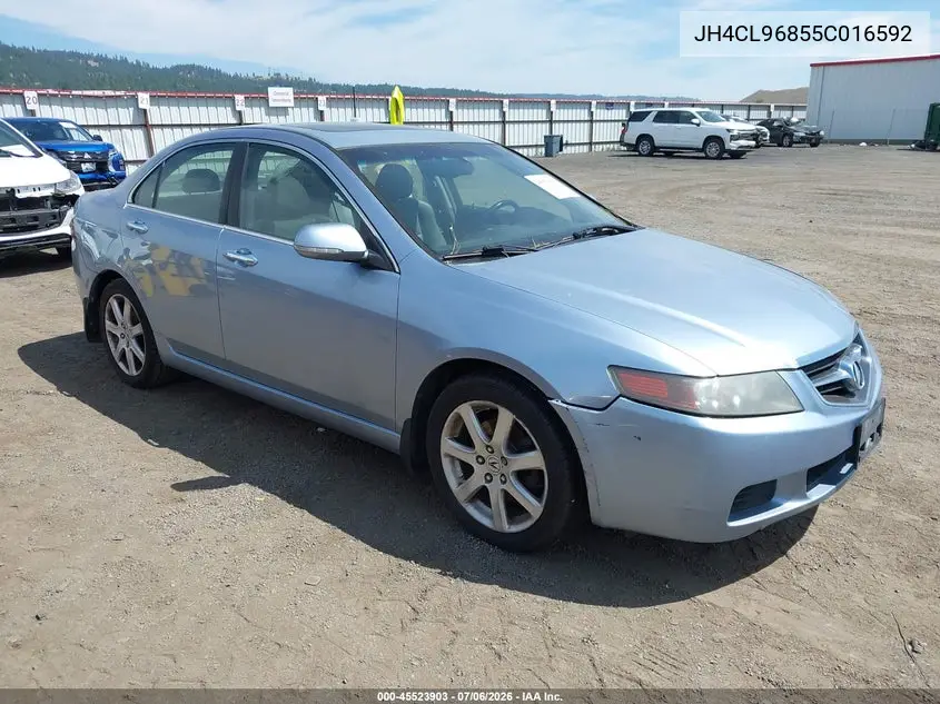 2005 Acura Tsx VIN: JH4CL96855C016592 Lot: 45523903