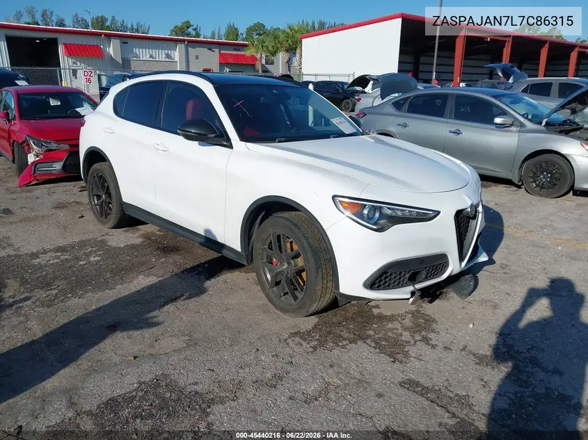 2020 Alfa Romeo Stelvio Rwd VIN: ZASPAJAN7L7C86315 Lot: 45440216