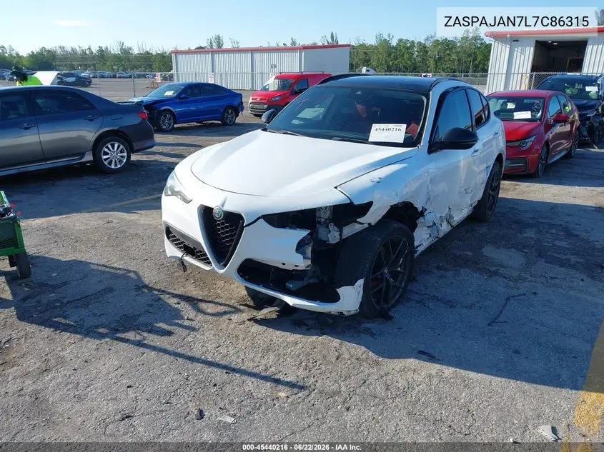 2020 Alfa Romeo Stelvio Rwd VIN: ZASPAJAN7L7C86315 Lot: 45440216