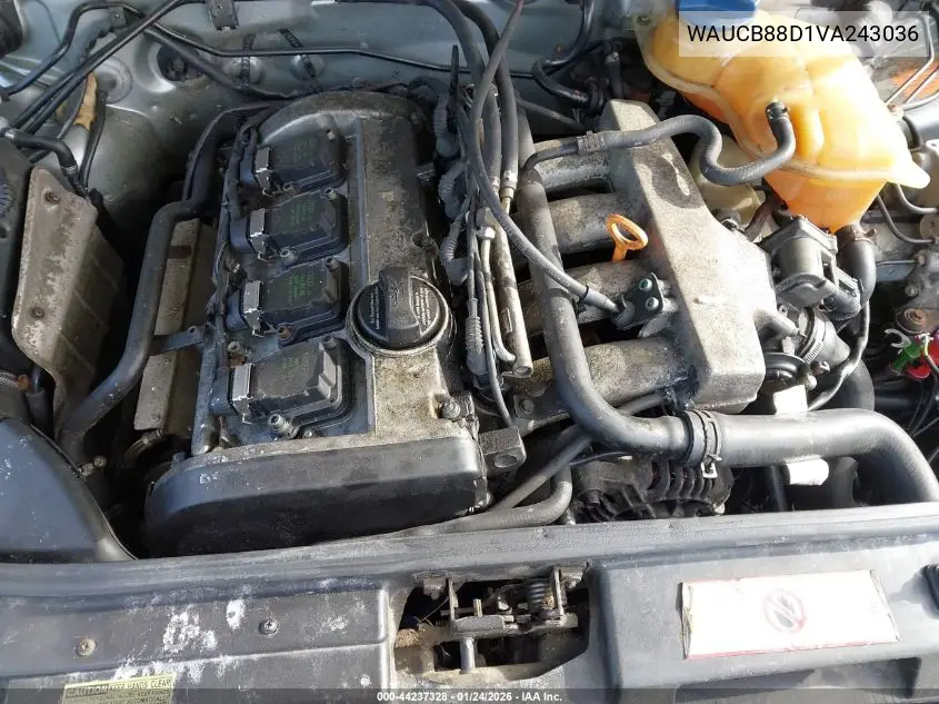 1997 Audi A4 1.8 T VIN: WAUCB88D1VA243036 Lot: 44237328