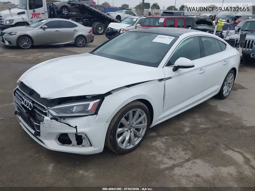 2018 Audi A5 2.0T Premium VIN: WAUBNCF59JA132665 Lot: 45541292