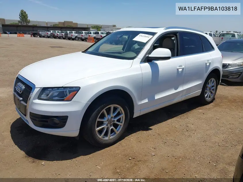 2011 Audi Q5 2.0T Premium VIN: WA1LFAFP9BA103818 Lot: 45614051