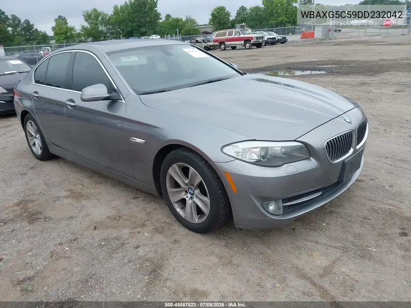 2013 BMW 528I VIN: WBAXG5C59DD232042 Lot: 45587523