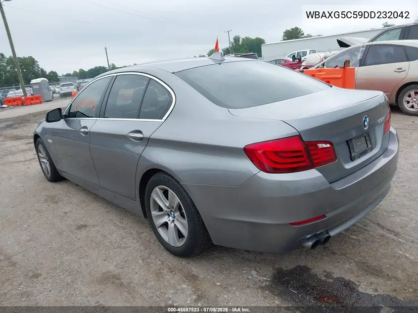 2013 BMW 528I VIN: WBAXG5C59DD232042 Lot: 45587523