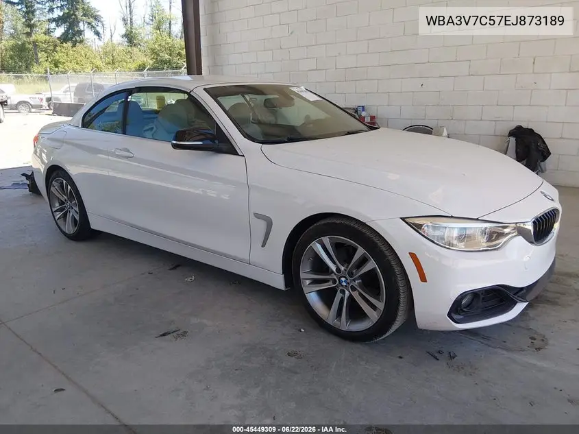 2014 BMW 428I VIN: WBA3V7C57EJ873189 Lot: 45449309