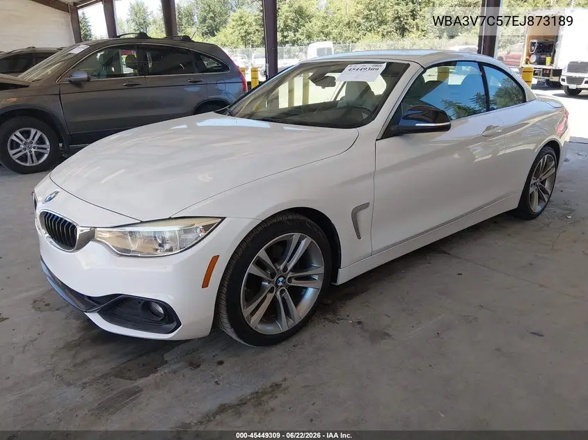 2014 BMW 428I VIN: WBA3V7C57EJ873189 Lot: 45449309