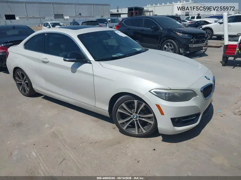 2014 BMW 228I VIN: WBA1F5C59EV255972 Lot: 44955245