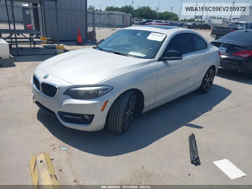 2014 BMW 228I VIN: WBA1F5C59EV255972 Lot: 44955245