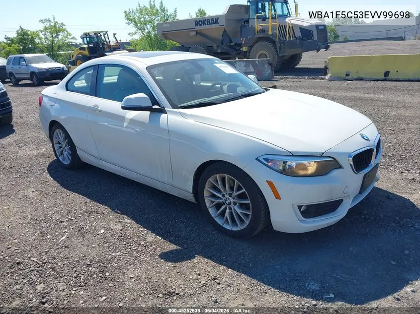 2014 BMW 228I VIN: WBA1F5C53EVV99698 Lot: 45252639