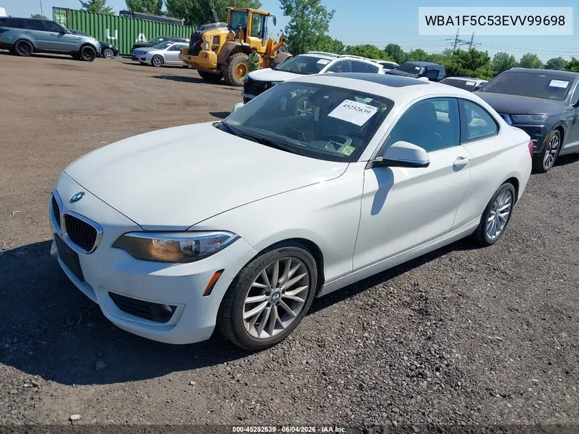 2014 BMW 228I VIN: WBA1F5C53EVV99698 Lot: 45252639