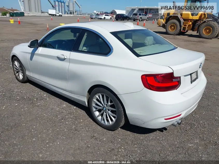 2014 BMW 228I VIN: WBA1F5C53EVV99698 Lot: 45252639