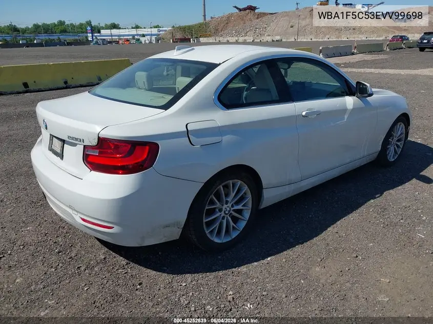 2014 BMW 228I VIN: WBA1F5C53EVV99698 Lot: 45252639