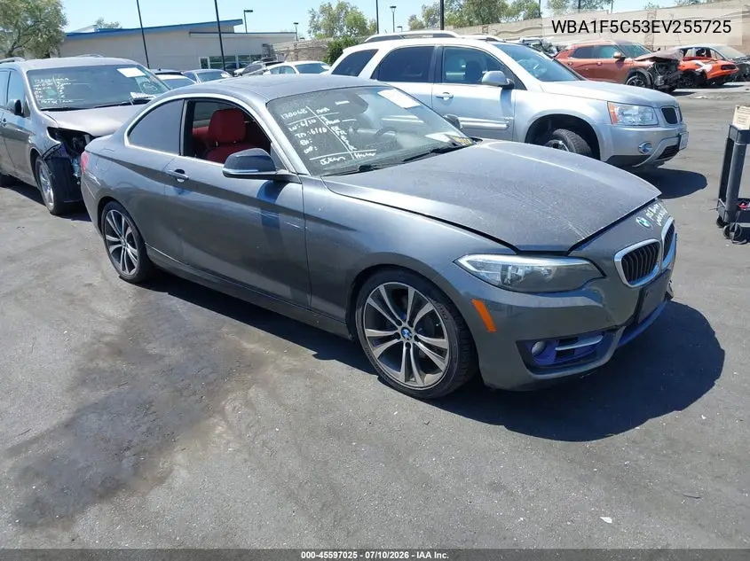 2014 BMW 228I VIN: WBA1F5C53EV255725 Lot: 45597025