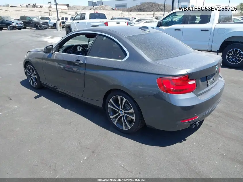 2014 BMW 228I VIN: WBA1F5C53EV255725 Lot: 45597025
