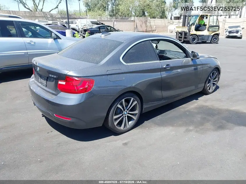 2014 BMW 228I VIN: WBA1F5C53EV255725 Lot: 45597025
