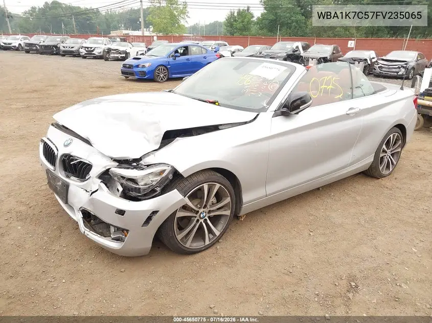 2015 BMW 228I xDrive VIN: WBA1K7C57FV235065 Lot: 45650775