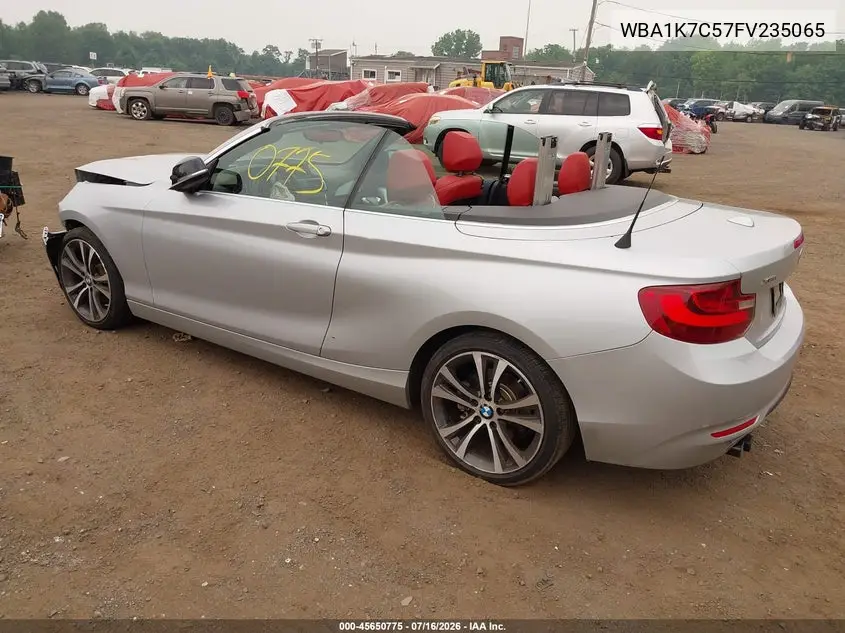 2015 BMW 228I xDrive VIN: WBA1K7C57FV235065 Lot: 45650775