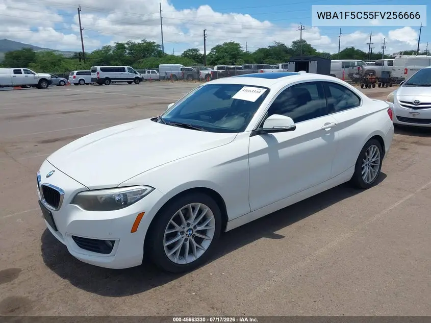 2015 BMW 228I VIN: WBA1F5C55FV256666 Lot: 45663330