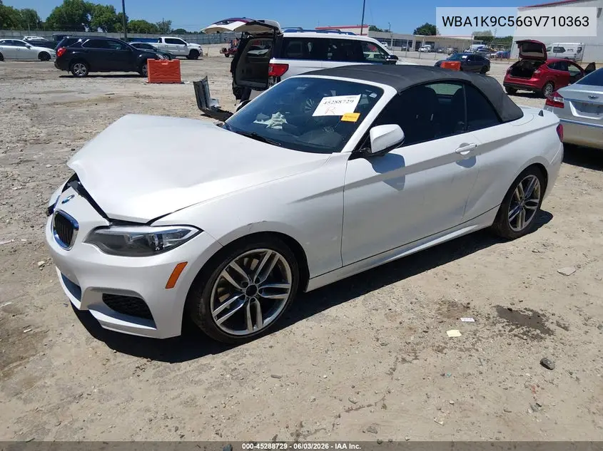2016 BMW 228I VIN: WBA1K9C56GV710363 Lot: 45288729