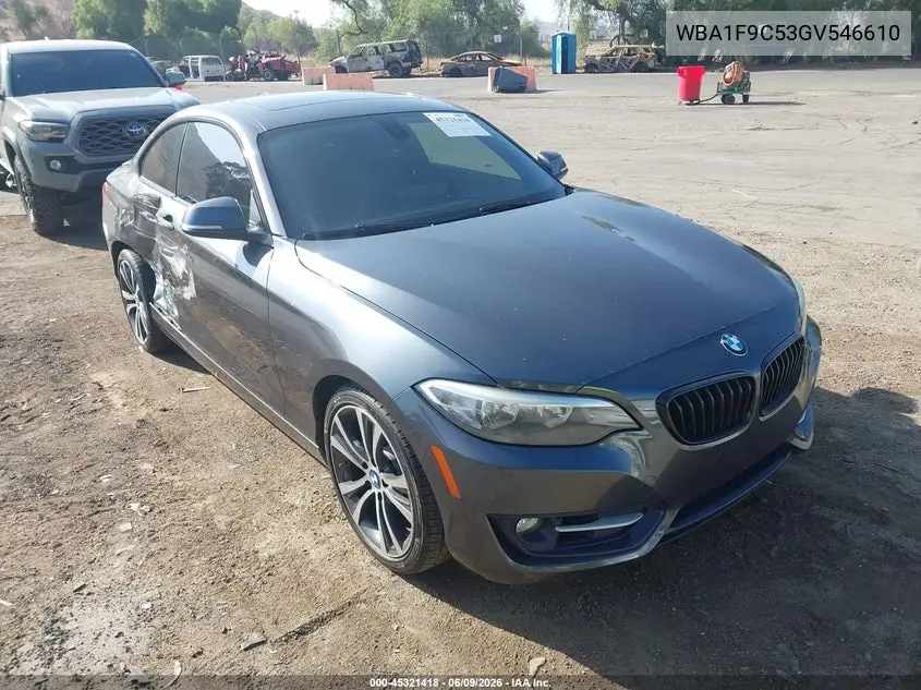 2016 BMW 228I VIN: WBA1F9C53GV546610 Lot: 45321418