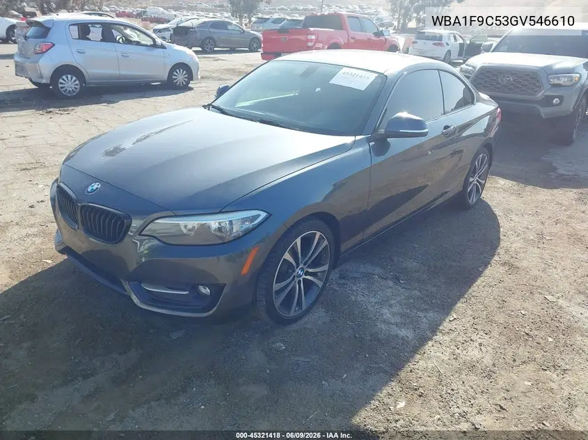 2016 BMW 228I VIN: WBA1F9C53GV546610 Lot: 45321418