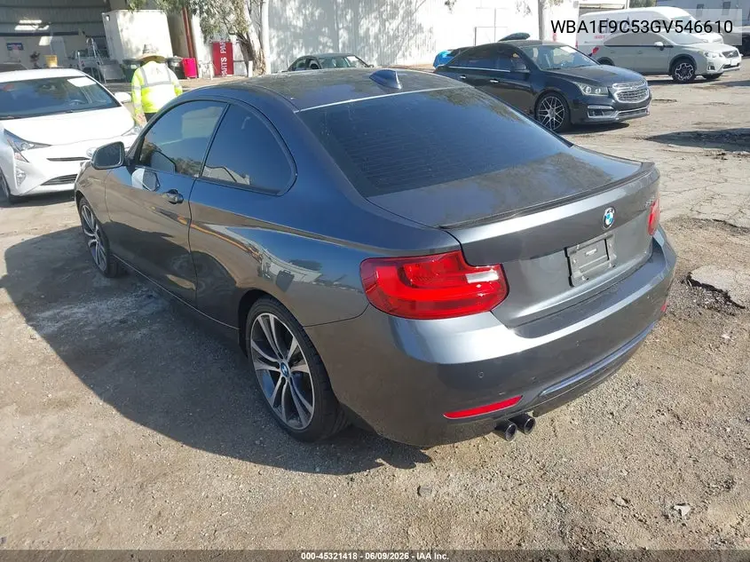 2016 BMW 228I VIN: WBA1F9C53GV546610 Lot: 45321418