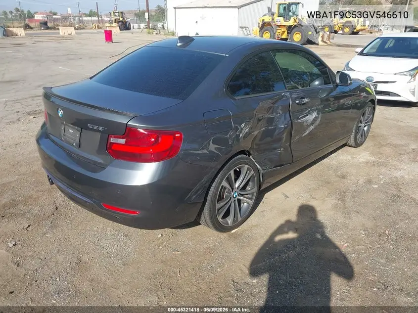 2016 BMW 228I VIN: WBA1F9C53GV546610 Lot: 45321418