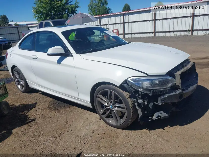 2016 BMW 228I VIN: WBA1F9C58GV545260 Lot: 45355901