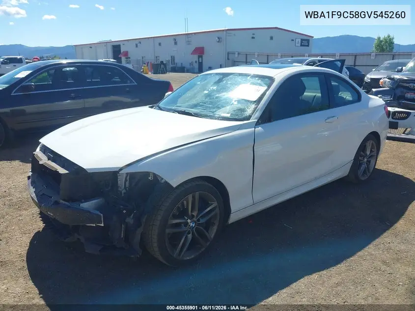 2016 BMW 228I VIN: WBA1F9C58GV545260 Lot: 45355901