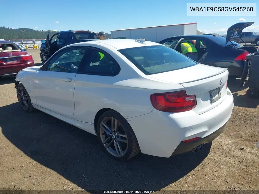 2016 BMW 228I VIN: WBA1F9C58GV545260 Lot: 45355901