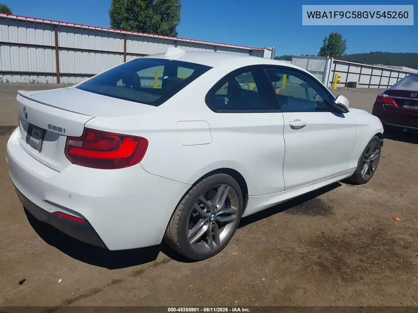 2016 BMW 228I VIN: WBA1F9C58GV545260 Lot: 45355901