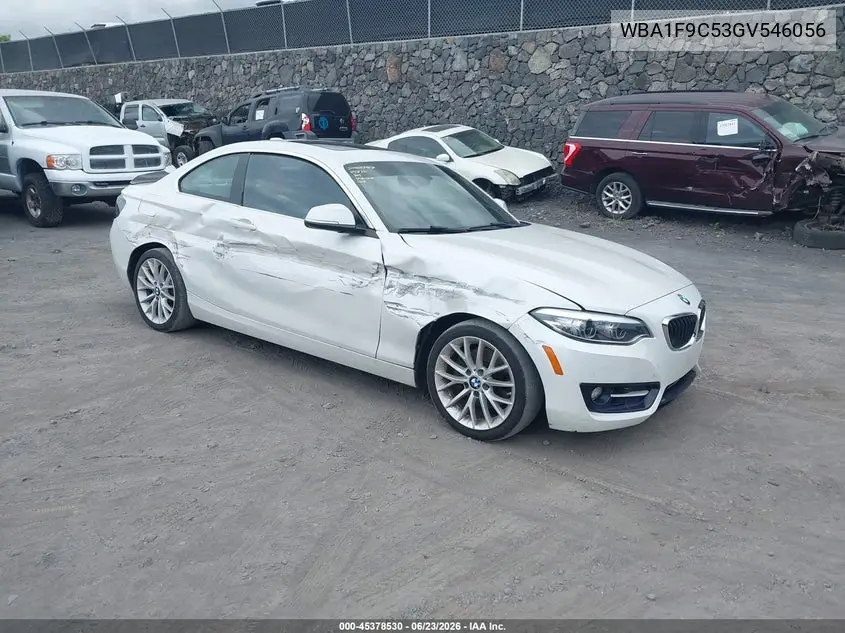 2016 BMW 228I VIN: WBA1F9C53GV546056 Lot: 45378530