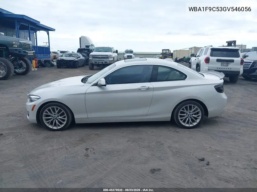 2016 BMW 228I VIN: WBA1F9C53GV546056 Lot: 45378530