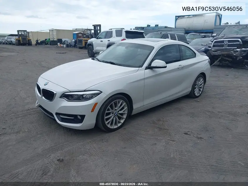 2016 BMW 228I VIN: WBA1F9C53GV546056 Lot: 45378530