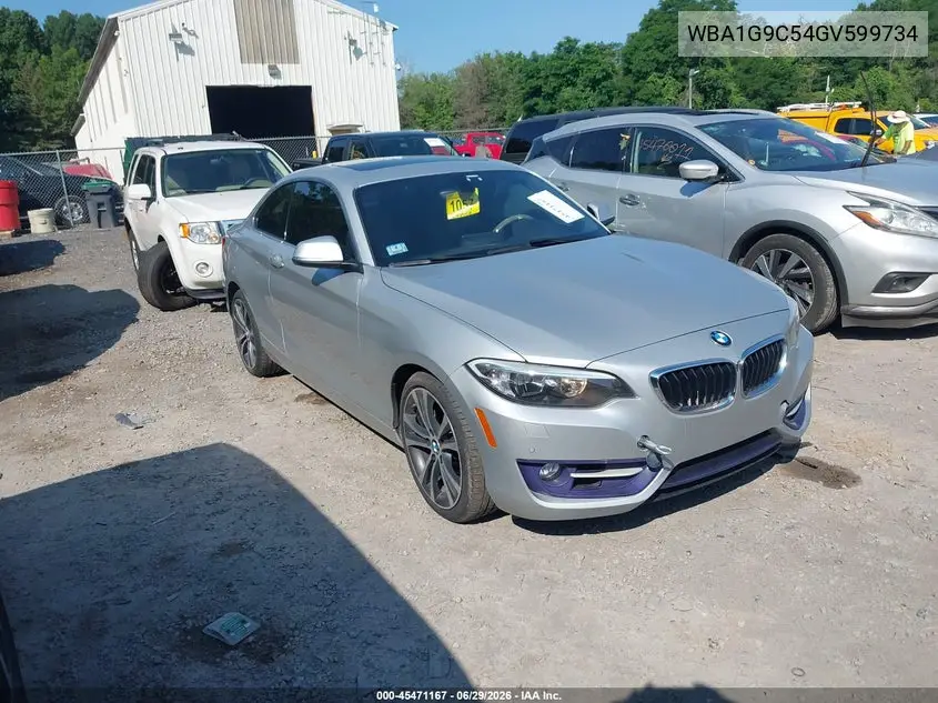 2016 BMW 228I xDrive VIN: WBA1G9C54GV599734 Lot: 45471167