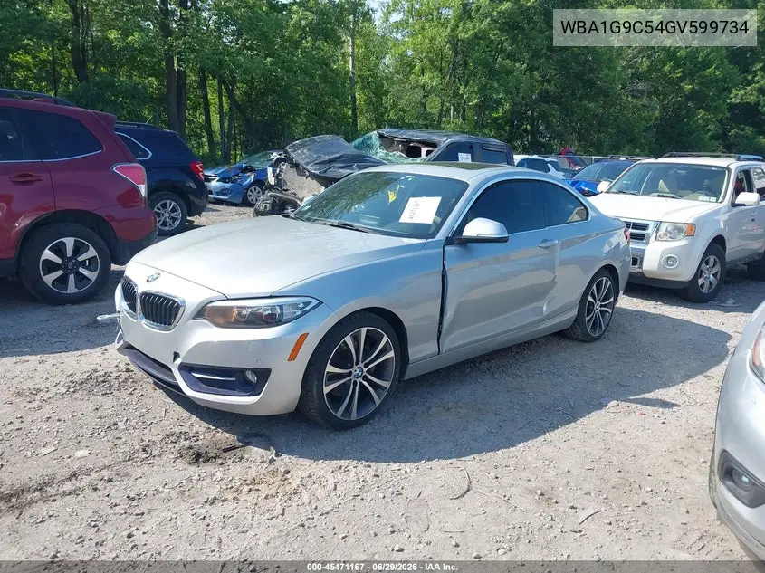 2016 BMW 228I xDrive VIN: WBA1G9C54GV599734 Lot: 45471167