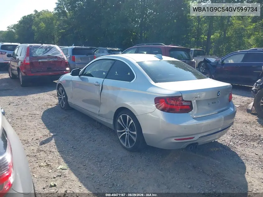2016 BMW 228I xDrive VIN: WBA1G9C54GV599734 Lot: 45471167