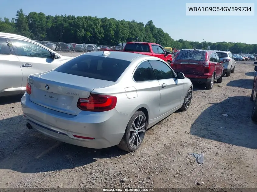 2016 BMW 228I xDrive VIN: WBA1G9C54GV599734 Lot: 45471167