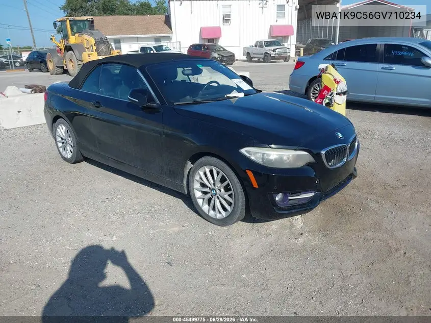 2016 BMW 228I VIN: WBA1K9C56GV710234 Lot: 45499775