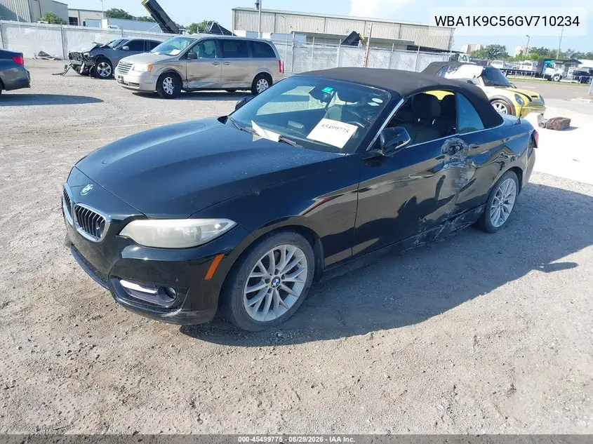2016 BMW 228I VIN: WBA1K9C56GV710234 Lot: 45499775